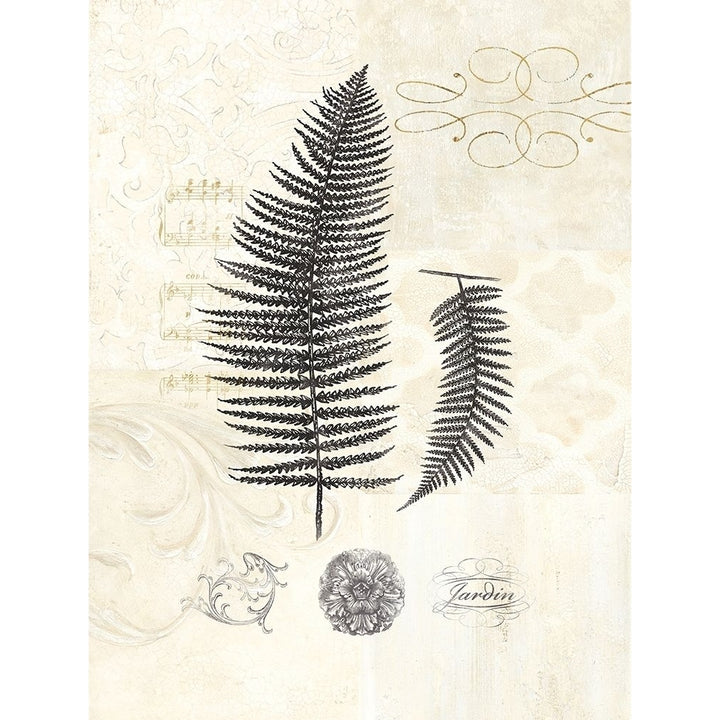 Filigree Fern Poster Print by Devon Ross-VARPDX909ROS1002 Image 1