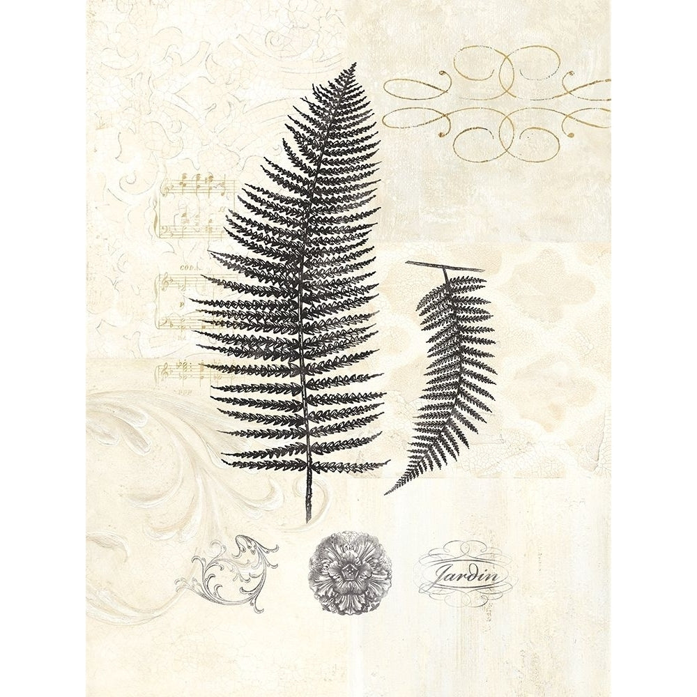 Filigree Fern Poster Print by Devon Ross-VARPDX909ROS1002 Image 2