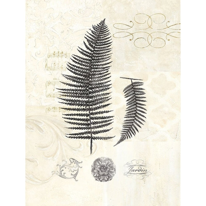 Filigree Fern Poster Print by Devon Ross-VARPDX909ROS1002 Image 1