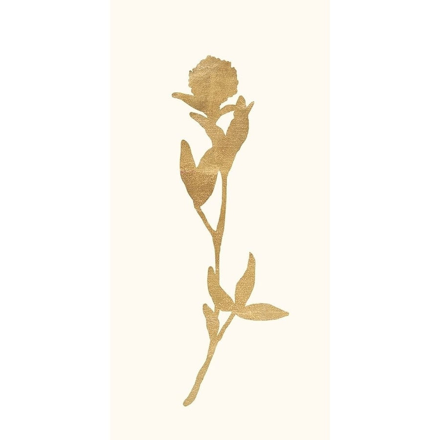 Gold Botanical 6 Poster Print by Devon Ross-VARPDX909ROS1334 Image 1