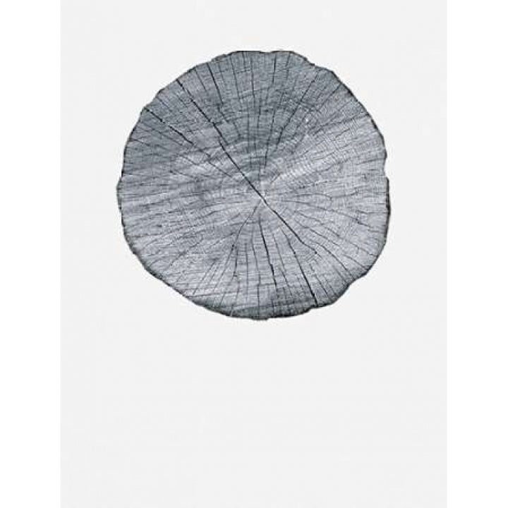 Old Growth Ring Print Poster Print by Sam Appleman-VARPDX911APP1171 Image 2