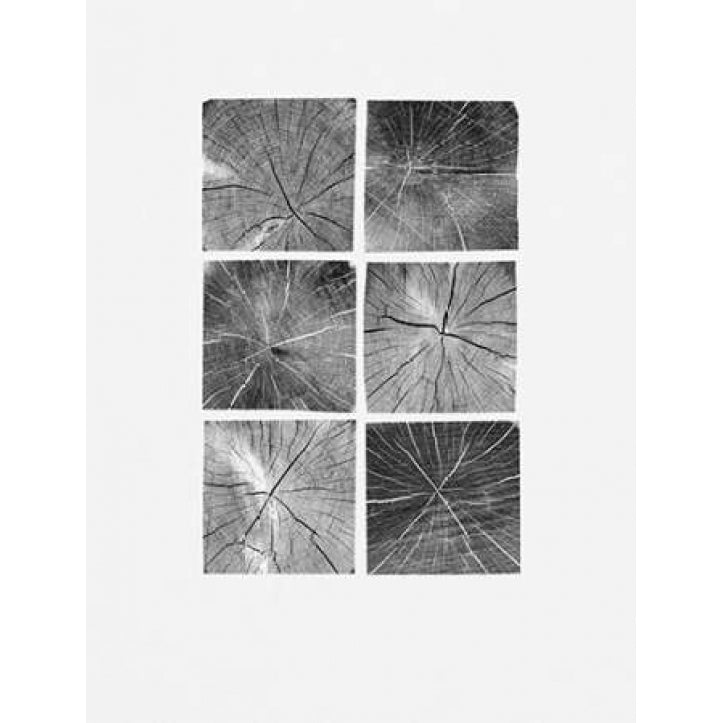 Wood Block Squares Poster Print by Sam Appleman-VARPDX911APP1173 Image 2