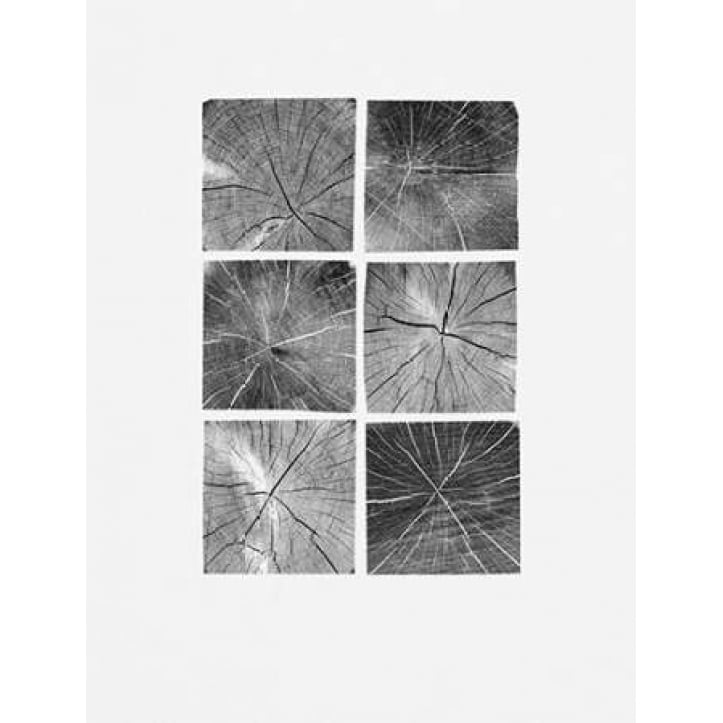 Wood Block Squares Poster Print by Sam Appleman-VARPDX911APP1173 Image 1