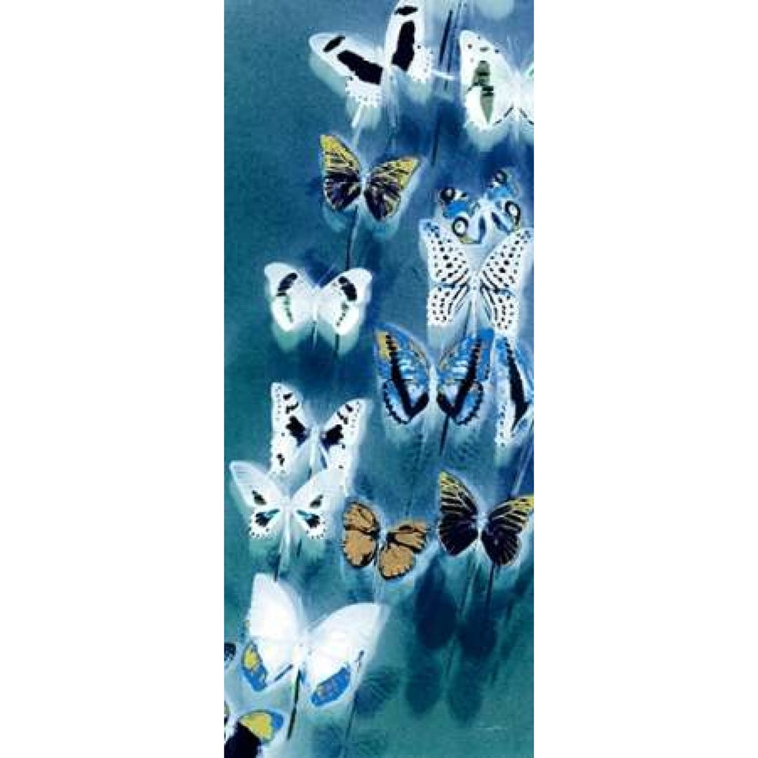 Morccan Blue Butterflies 1 Poster Print by Evangeline Taylor-VARPDX916TAY1073 Image 1