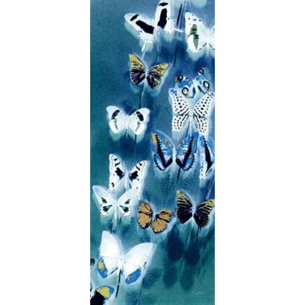 Morccan Blue Butterflies 1 Poster Print by Evangeline Taylor-VARPDX916TAY1073 Image 2