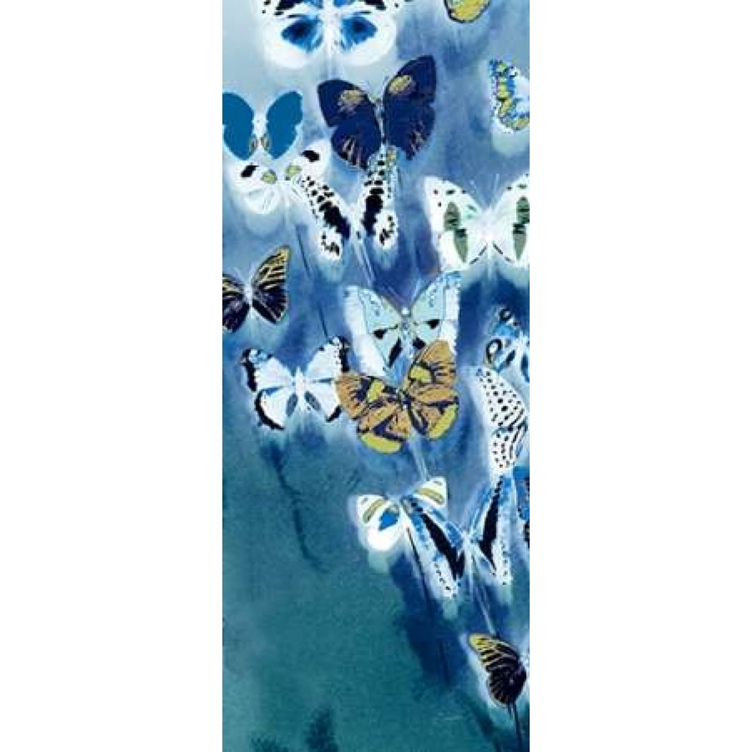 Morccan Blue Butterflies 2 Poster Print by Evangeline Taylor-VARPDX916TAY1074 Image 2