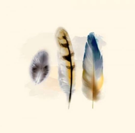 Three Feather Study 2 Poster Print by Evangeline Taylor-VARPDX916TAY1138 Image 1