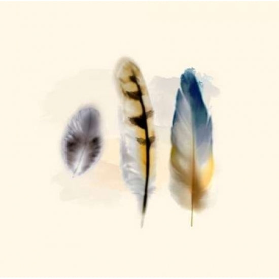 Three Feather Study 2 Poster Print by Evangeline Taylor-VARPDX916TAY1138 Image 2