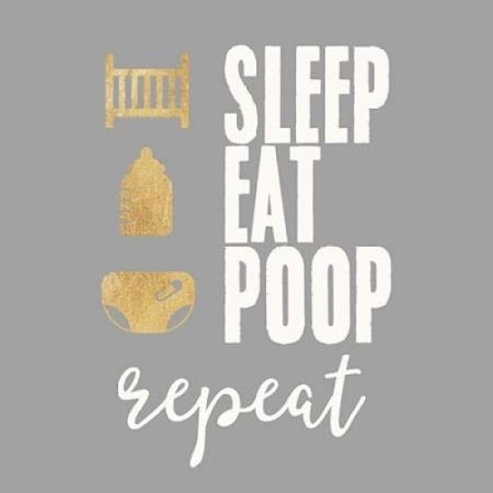 Sleep Eat Poop Poster Print by Evangeline Taylor-VARPDX916TAY1214 Image 1