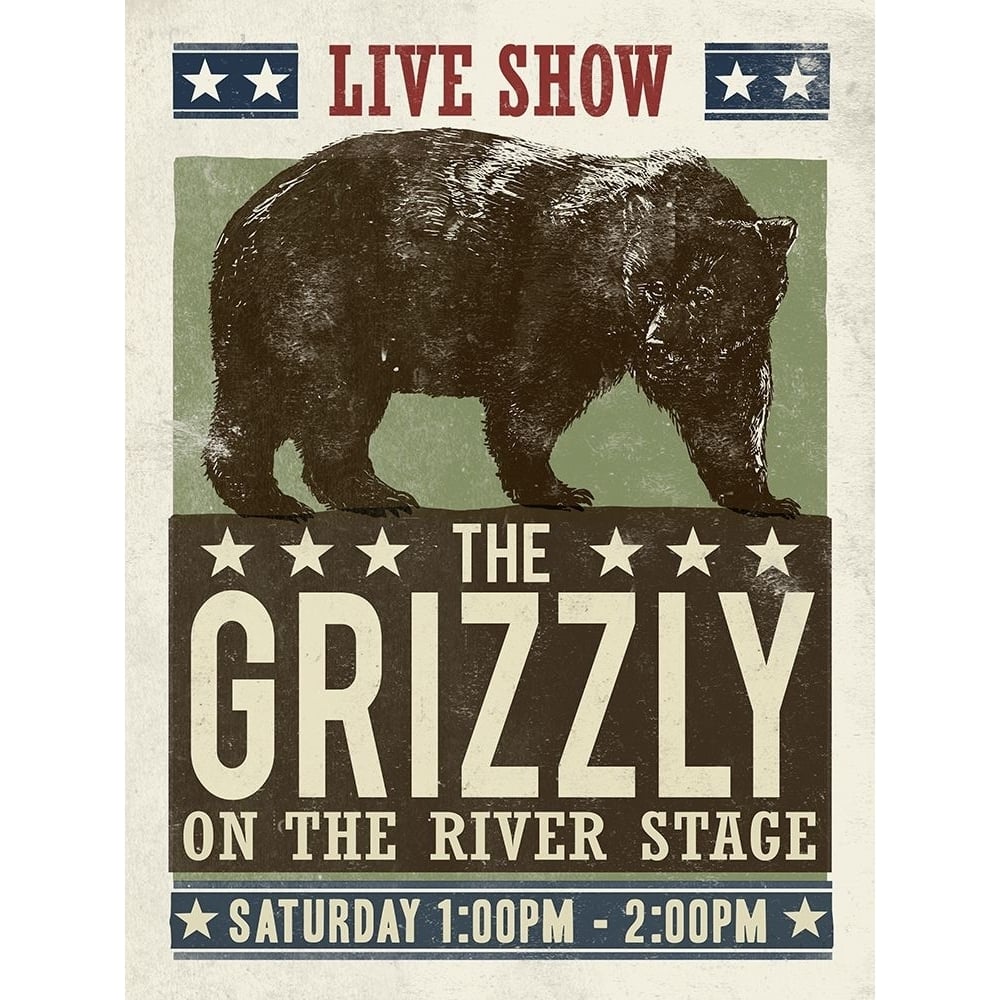 Grizzly Poster Print - Cory Steffen-VARPDX91718 Image 1