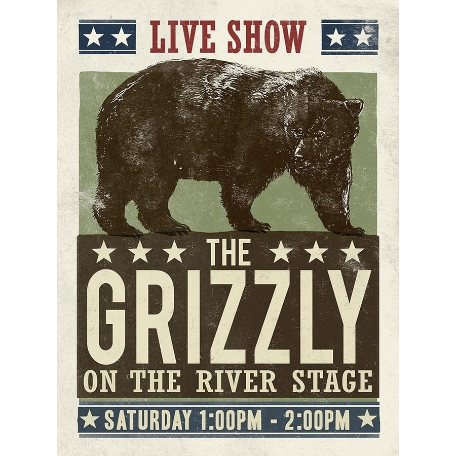 Grizzly Poster Print - Cory Steffen-VARPDX91718 Image 1