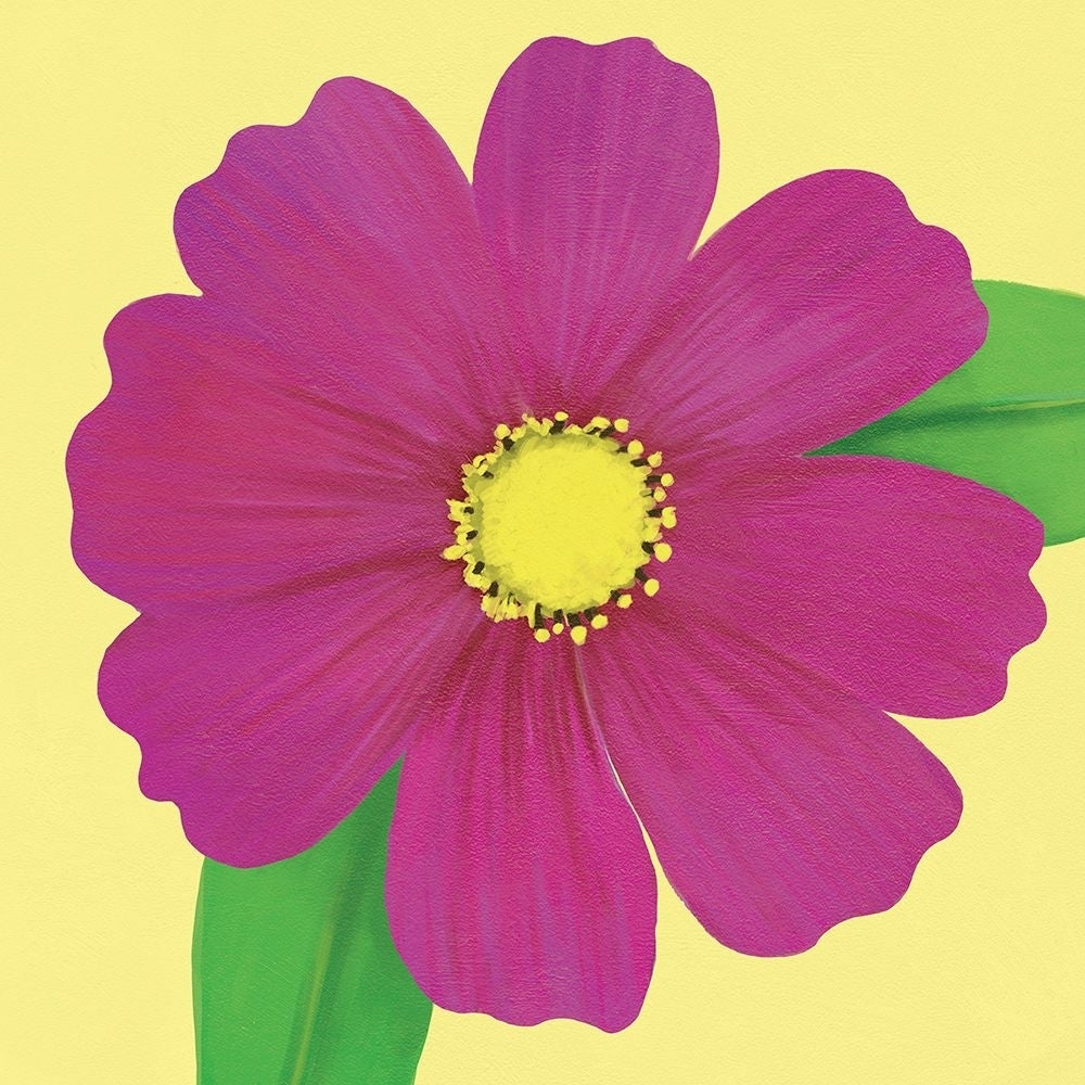 Flower Art 11 Poster Print - Cory Steffen-VARPDX91738 Image 1