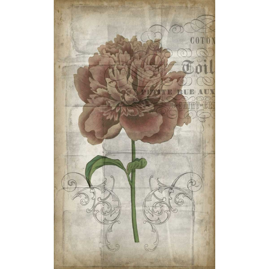 French Floral IV Poster Print - Jennifer Goldberger-VARPDX92052Z Image 1