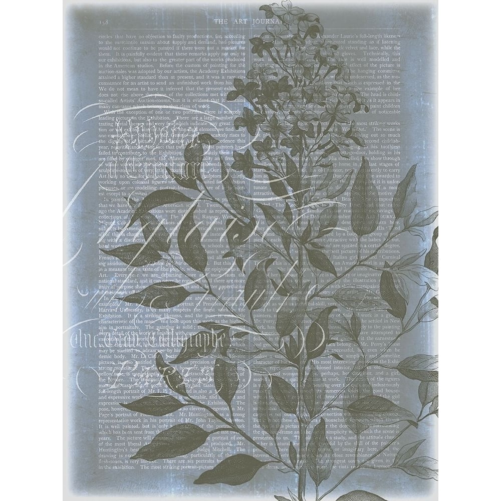 Fleur de Bleu I Poster Print - Jennifer Goldberger-VARPDX92047Z Image 1