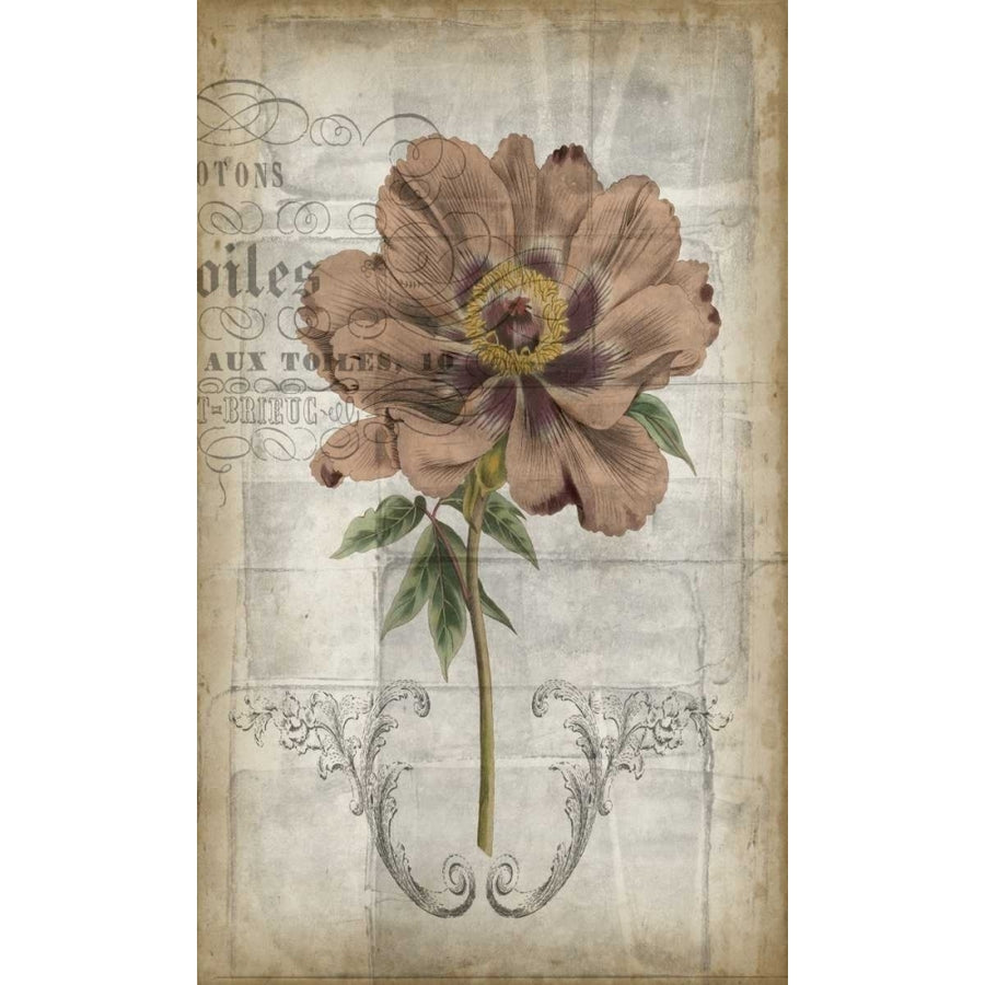 French Floral II Poster Print - Jennifer Goldberger-VARPDX92050Z Image 1