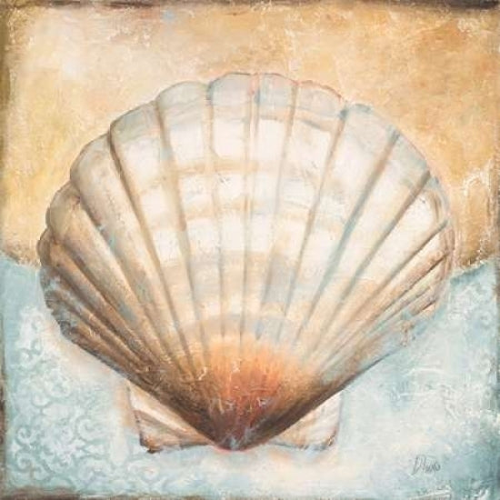 Seashell Collection III Poster Print by Patricia Pinto-VARPDX9210 Image 1