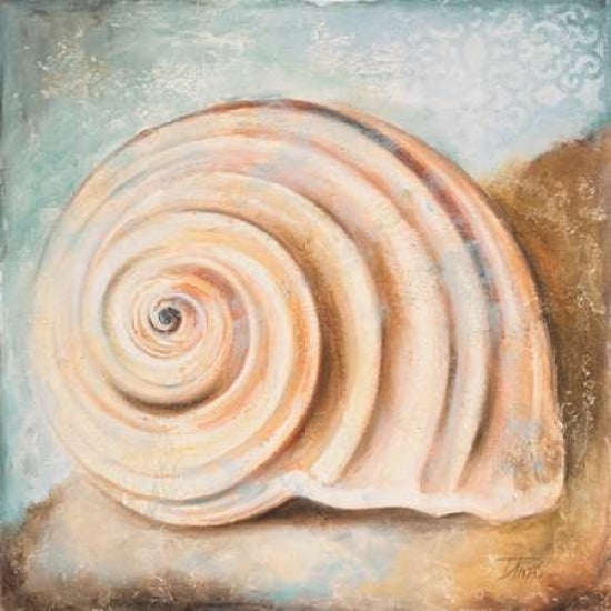 Seashell Collection IV Poster Print by Patricia Pinto-VARPDX9211 Image 1