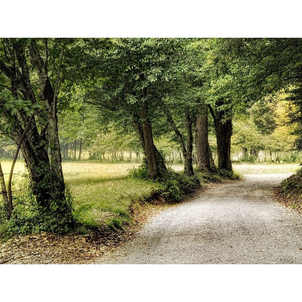 Path in the Country Poster Print - Danny Head-VARPDX92114Z Image 1