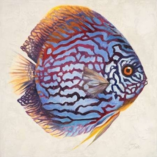 Little Fish I Poster Print by Patricia Pinto-VARPDX9212 Image 1