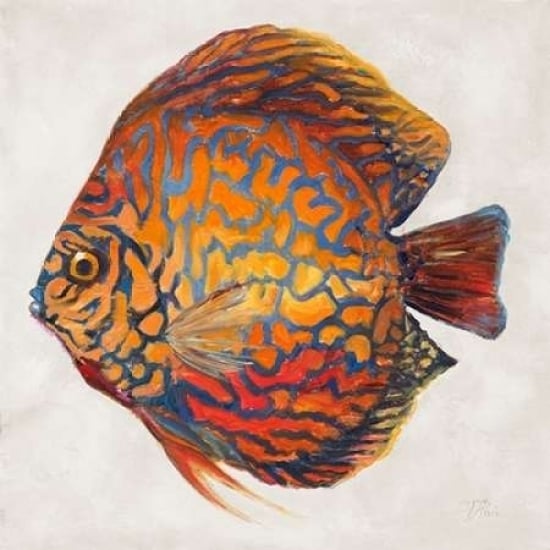 Little Fish II Poster Print by Patricia Pinto-VARPDX9213 Image 1