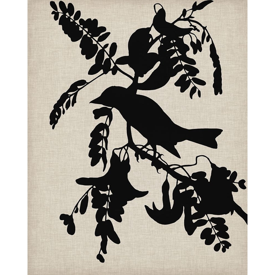 Audubon Silhouette V Poster Print - Studio Vision-VARPDX92137Z Image 1