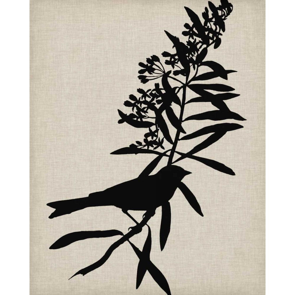 Audubon Silhouette I Poster Print - Studio Vision-VARPDX92133Z Image 1