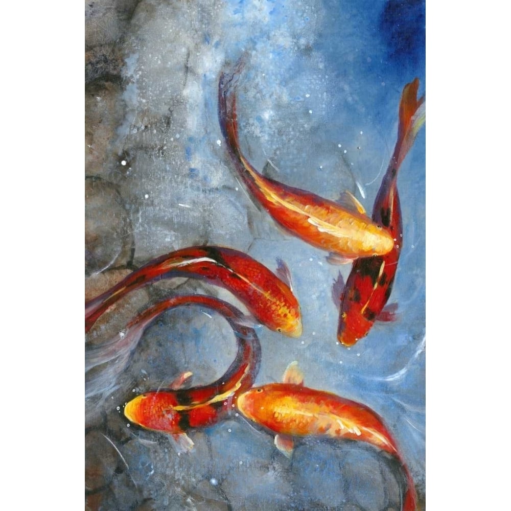 Graceful Koi I Poster Print - Tim OToole-VARPDX92172Z Image 1