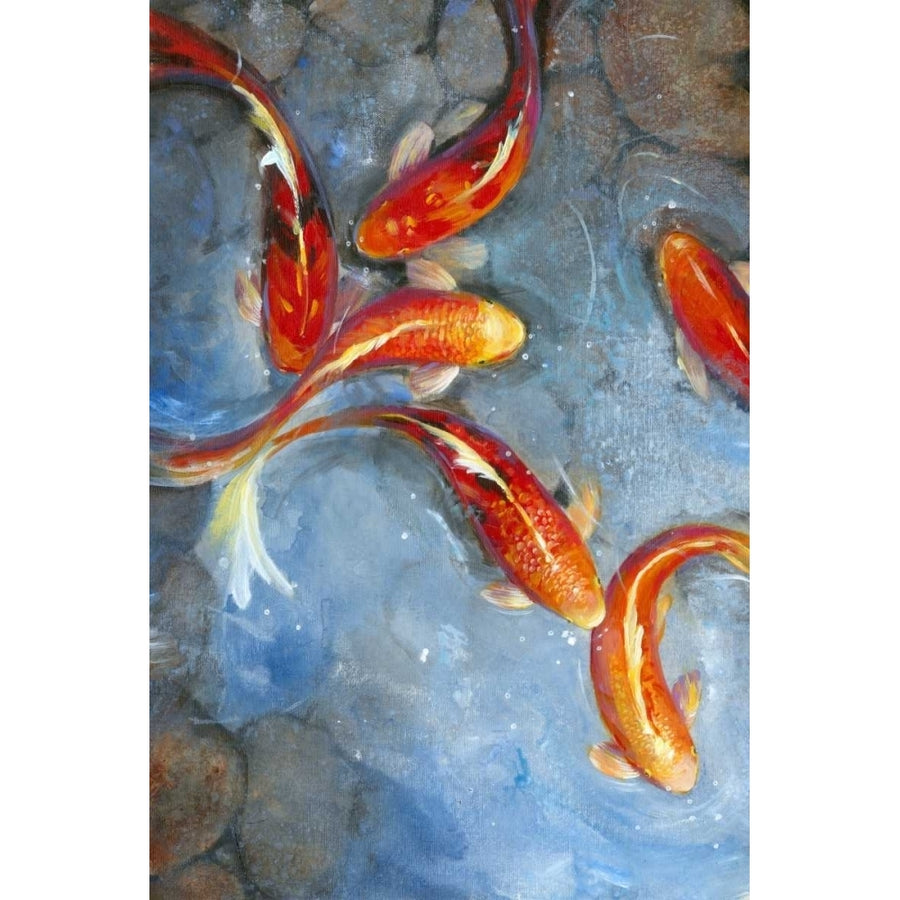 Graceful Koi II Poster Print - Tim OToole-VARPDX92173Z Image 1