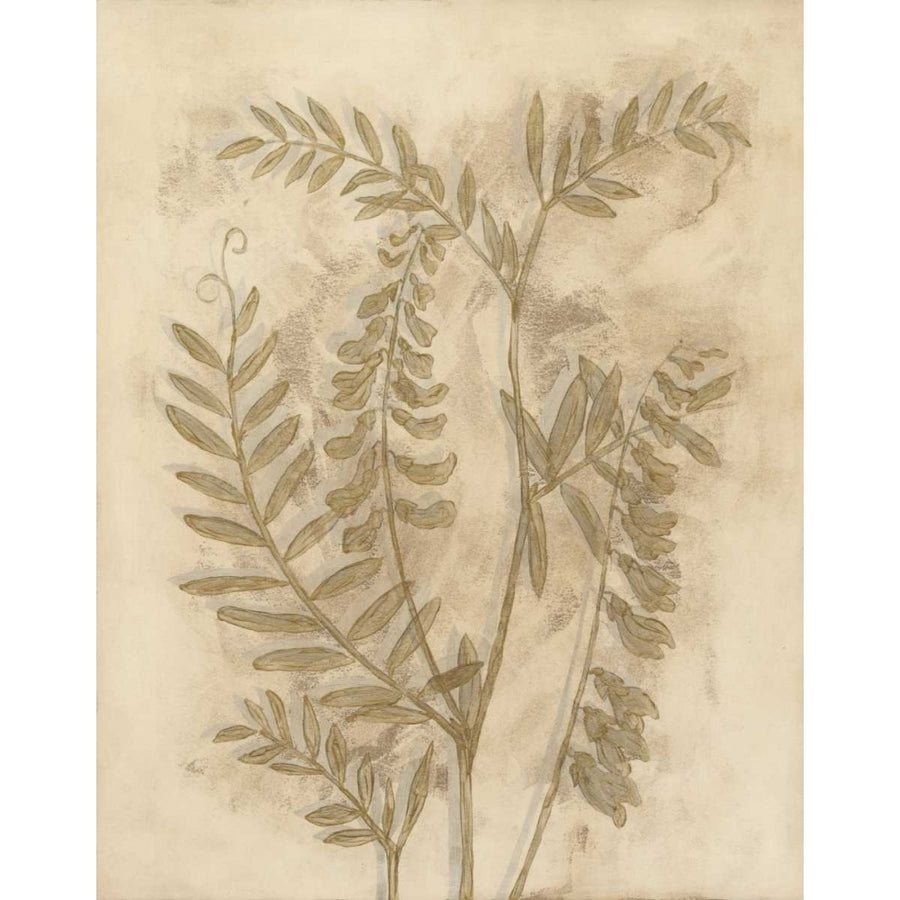 Gilded Foliage I Poster Print - Megan Meagher-VARPDX92311Z Image 1