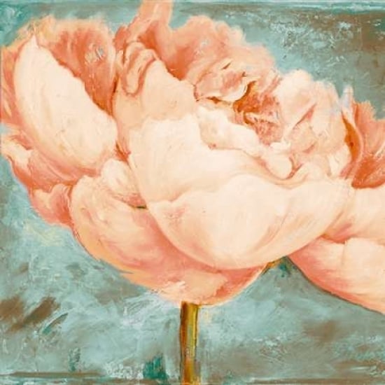 Beautiful Peonies Square II Poster Print by Patricia Pinto-VARPDX9233 Image 1