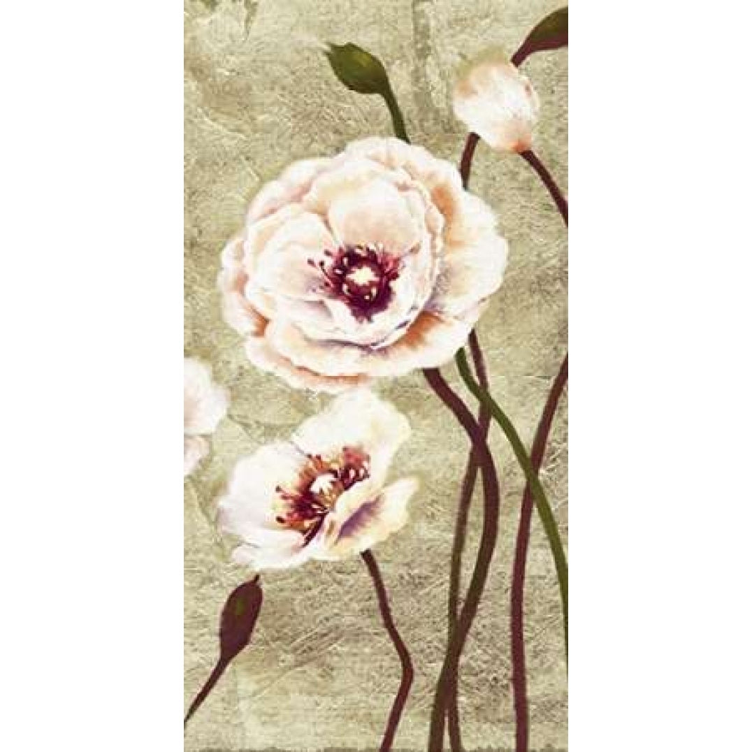 Dancing Poppies 3 Poster Print by Art Atelier Alliance-VARPDX923EWA1027 Image 1