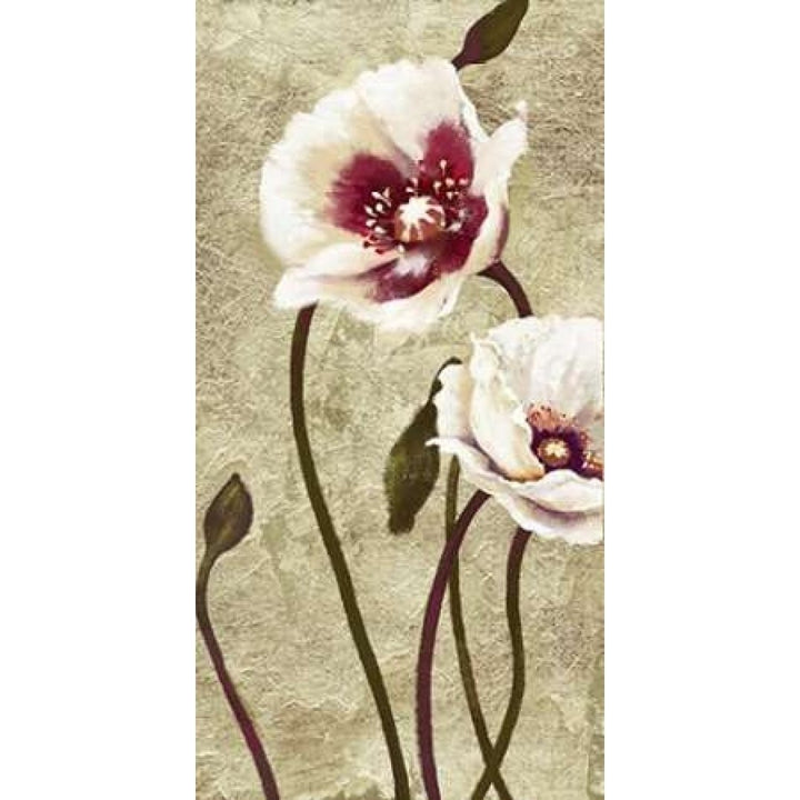 Dancing Poppies 2 Poster Print by Art Atelier Alliance-VARPDX923EWA1026 Image 2