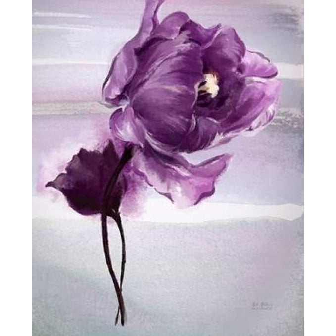 Exquisite Tulip Poster Print by Art Atelier Alliance-VARPDX923EWA1031 Image 2