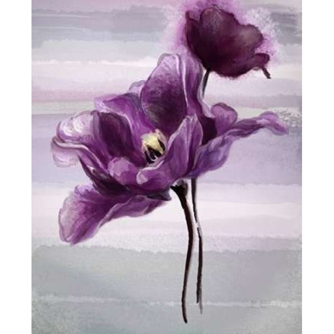 Ethereal Tulip Poster Print by Art Atelier Alliance-VARPDX923EWA1032 Image 1