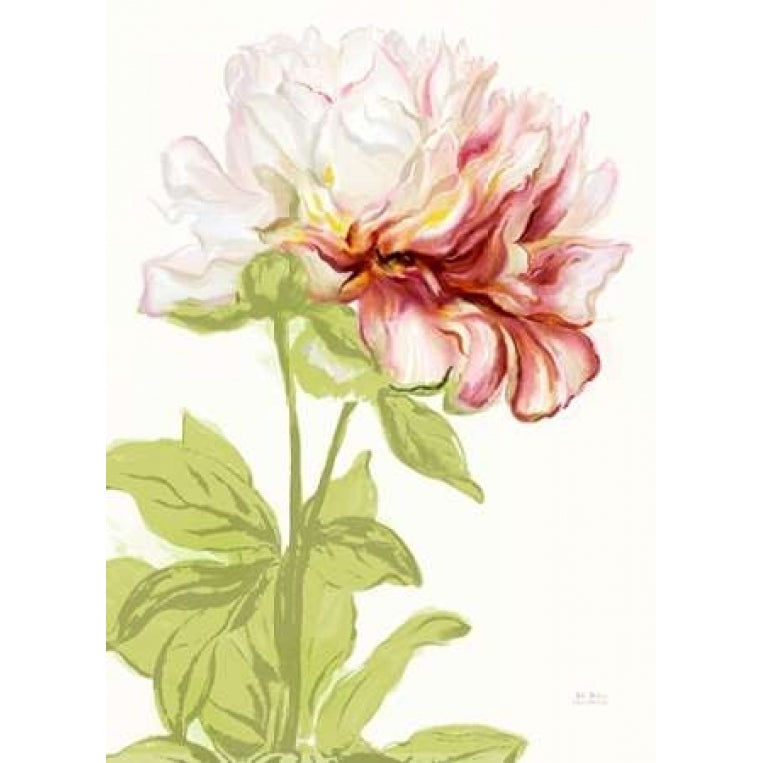 Blushing Peony 1 Poster Print by Art Atelier Alliance-VARPDX923EWA1037 Image 1