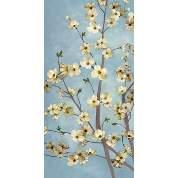 Heritage Dogwood 1 Poster Print by Art Atelier Alliance-VARPDX923EWA1044 Image 1