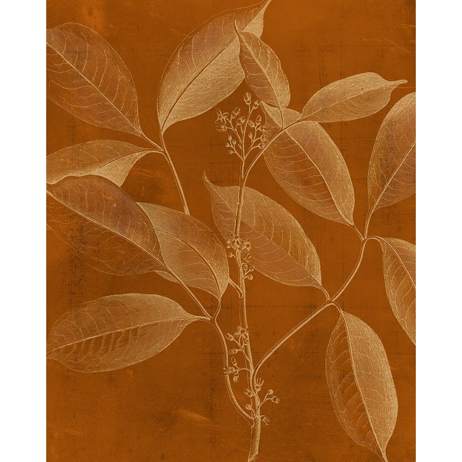 Modern Botany VI Poster Print - Studio Vision-VARPDX92410Z Image 1