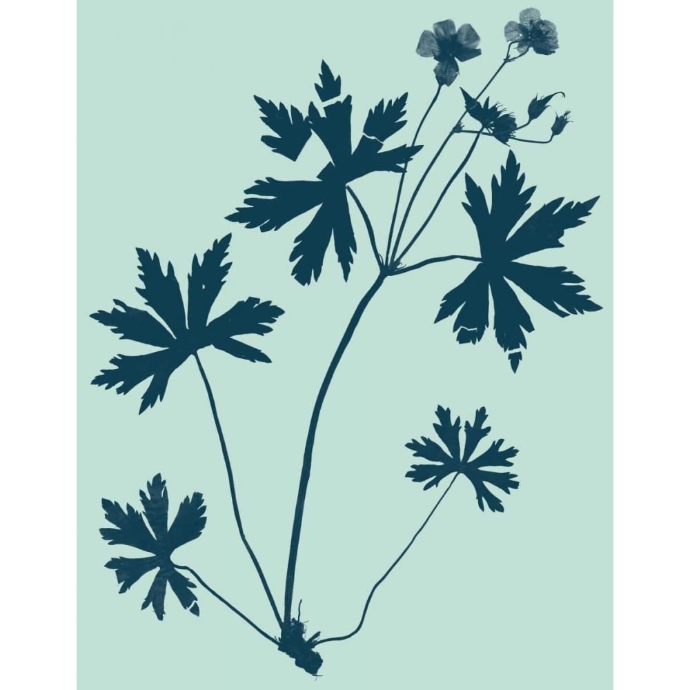 Indigo and Mint Botanical Study III Poster Print - Studio Vision-VARPDX92522Z Image 1