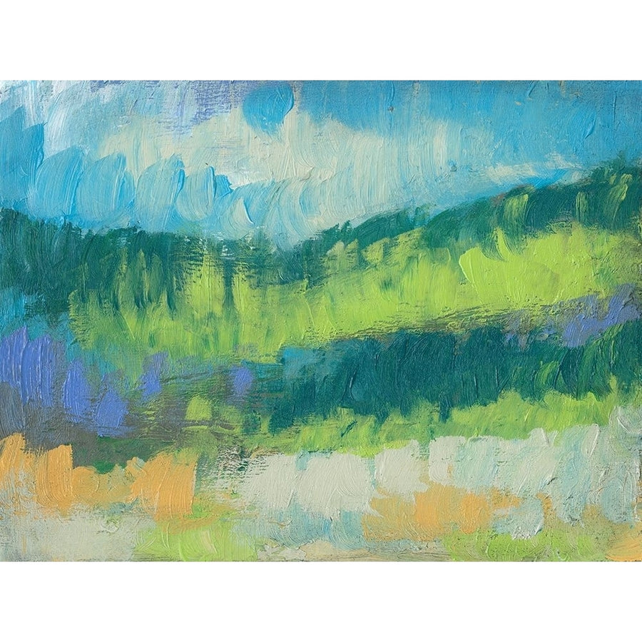 Impasto Field II Poster Print - Jennifer Goldberger-VARPDX92662FN Image 1