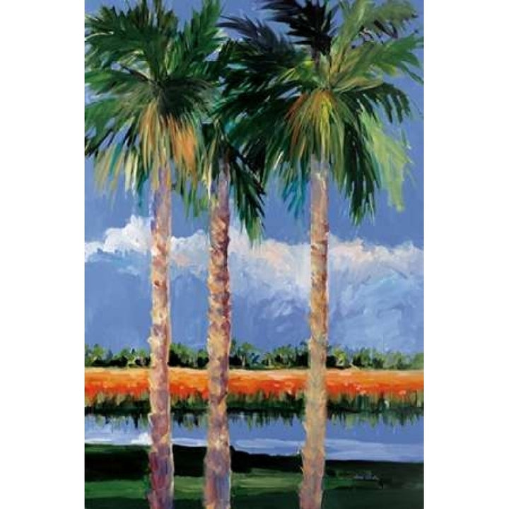 Palm Coast Poster Print by Jane Slivka-VARPDX9267C Image 1