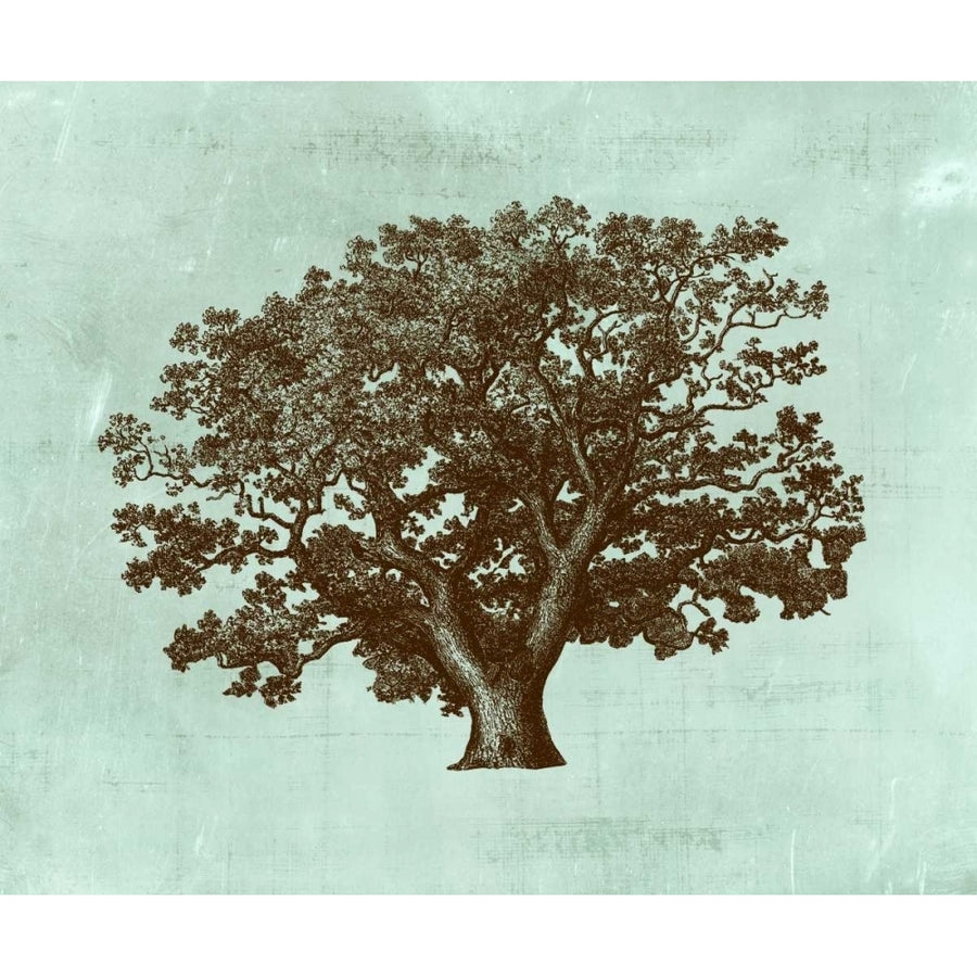 Spa Tree IV Poster Print - Studio Vision-VARPDX92720Z Image 1