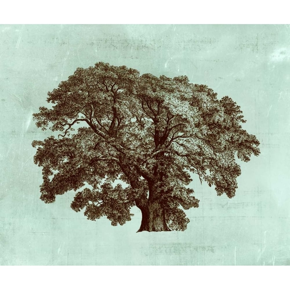 Spa Tree II Poster Print - Studio Vision-VARPDX92718Z Image 1