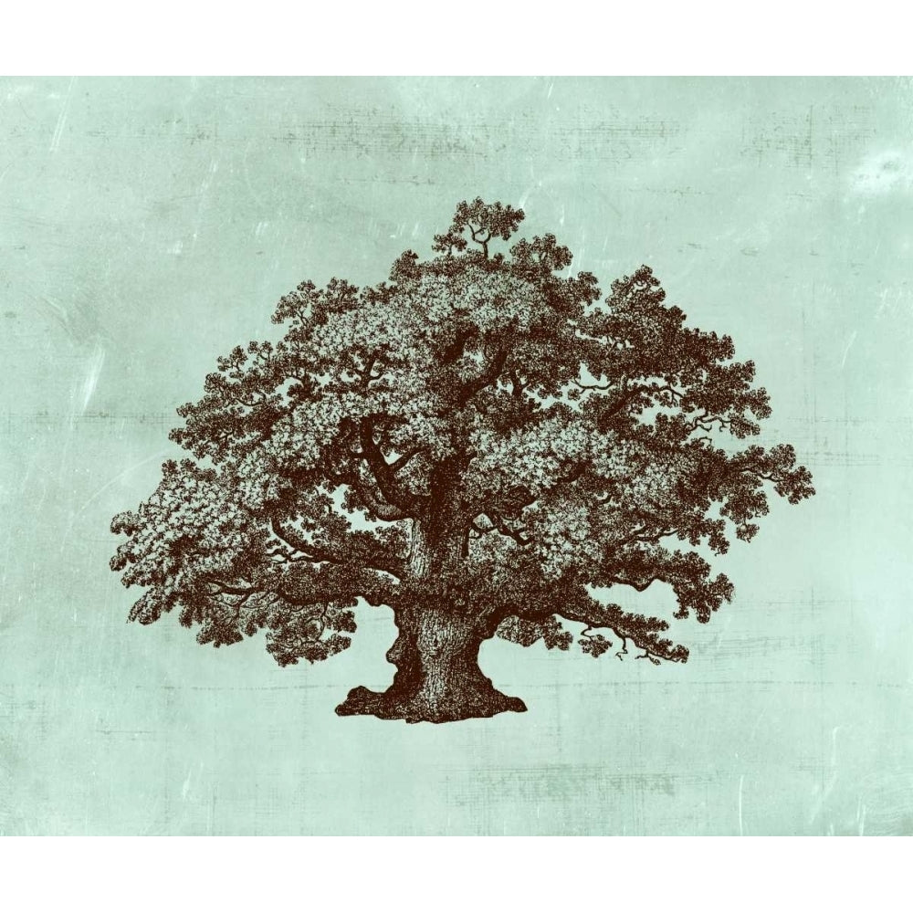 Spa Tree III Poster Print - Studio Vision-VARPDX92719Z Image 1