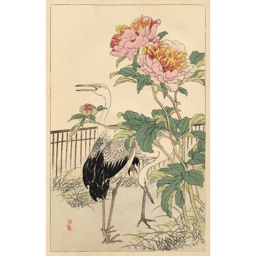 Crane and Peony Poster Print - Bairei-VARPDX92848Z Image 1