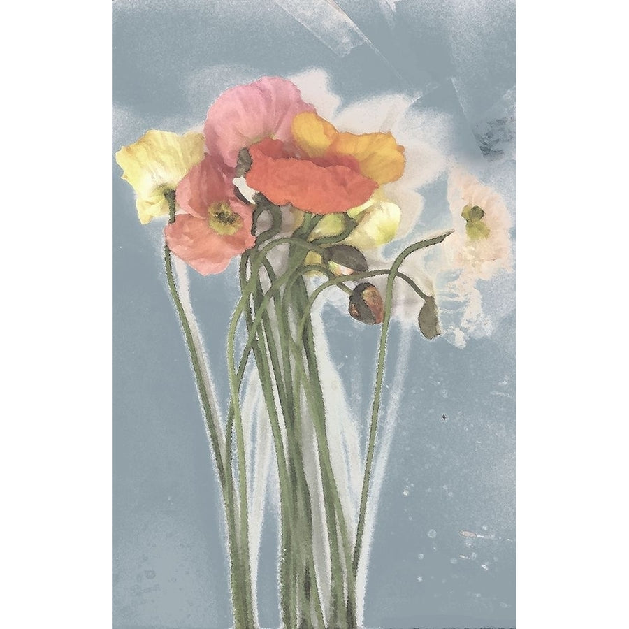 Poppy Spray III Poster Print - Jennifer Goldberger-VARPDX92858Z Image 1