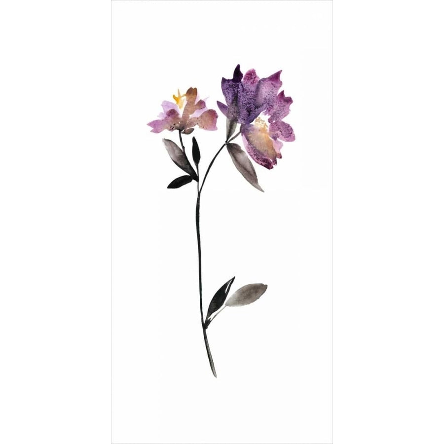 Floral Watercolor III Poster Print - Kiana Mosley-VARPDX92903FL Image 1