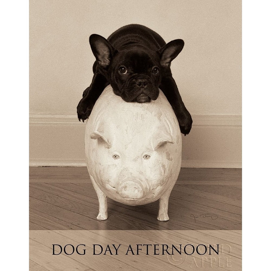 Dog Day Afternoon Poster Print by Jim Dratfield-VARPDX9293 Image 1