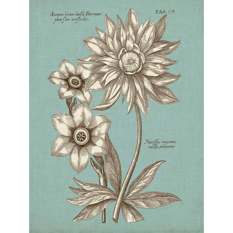 Chambray Chintz I Poster Print - Studio Vision-VARPDX92944Z Image 1