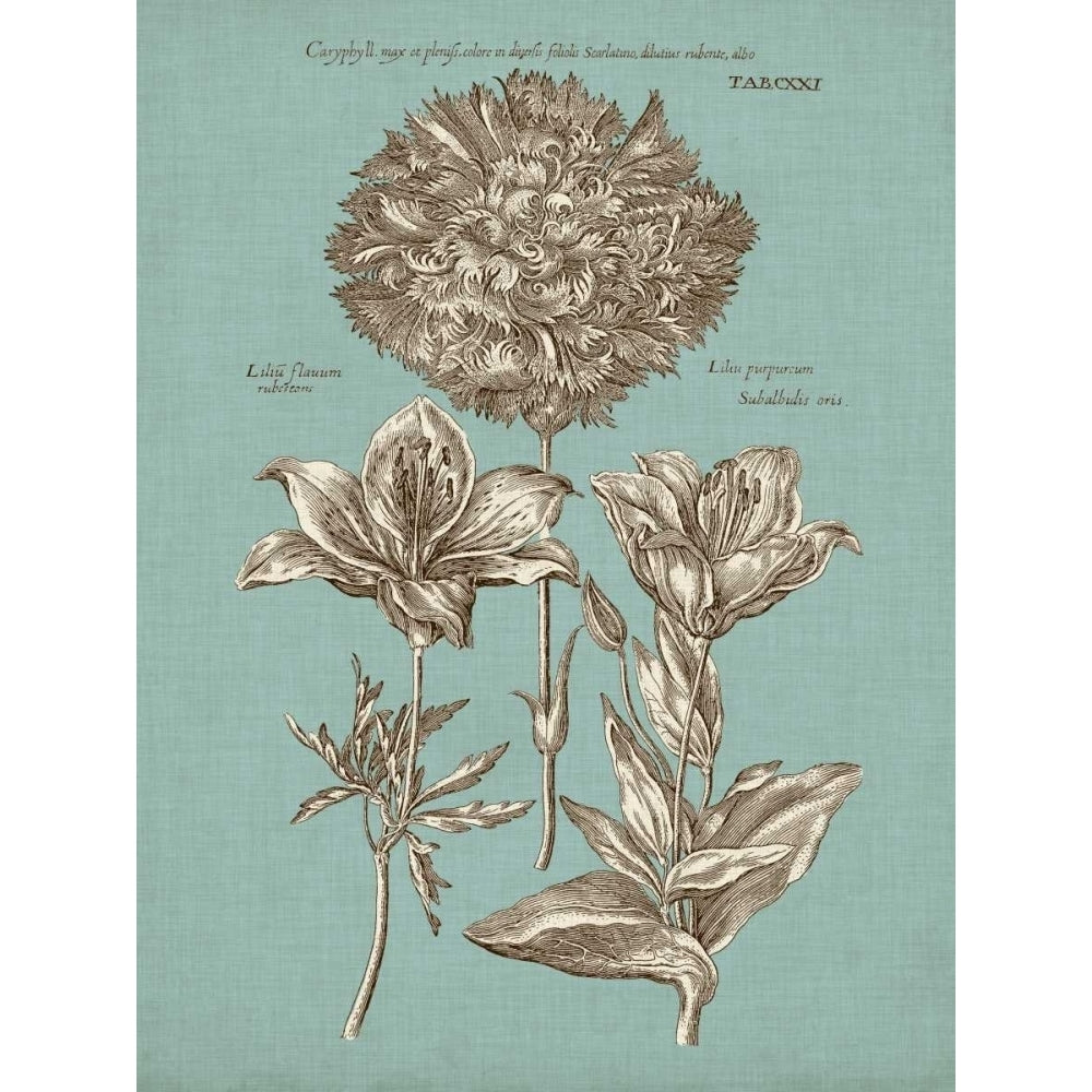 Chambray Chintz IV Poster Print - Studio Vision-VARPDX92947Z Image 1