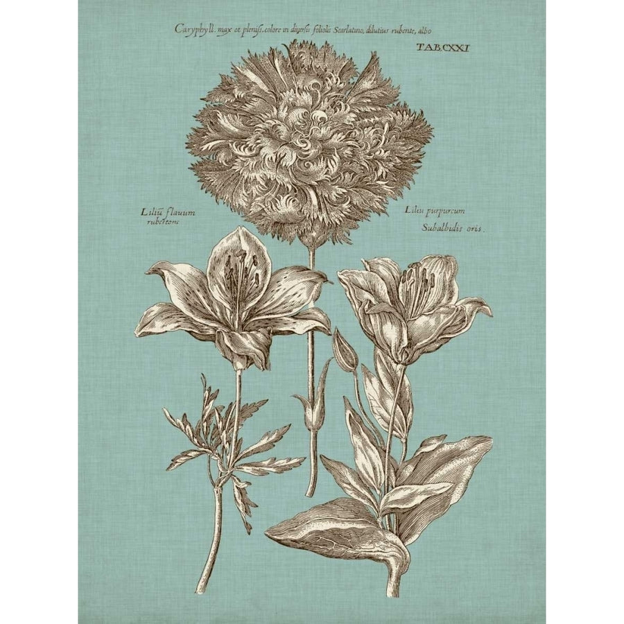 Chambray Chintz IV Poster Print - Studio Vision-VARPDX92947Z Image 1